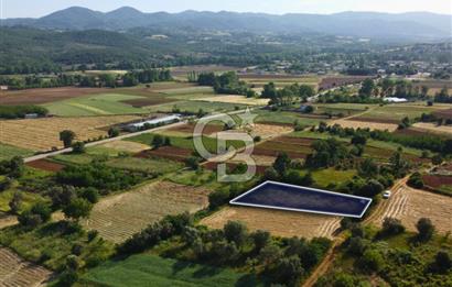 Çanakkale Lapseki Dışbudak Köyü 983 m² Yolu Olan Satılık Tarla