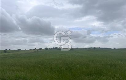 BALIKESİR KARESİ NAİPLİ'DE YOLA CEPHE, EMSALSİZ TARLA! 21.330 m2
