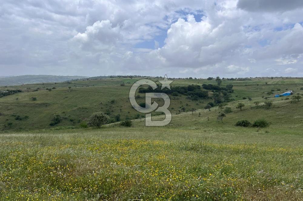BALIKESİR KARESİ KÖTEYLİ'DE SATILIK TARLA...! 14.901 m2
