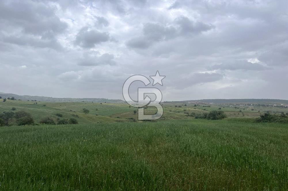 BALIKESİR KARESİ KALAYCILAR'DA SATILIK TARLA..! 11.609 m2