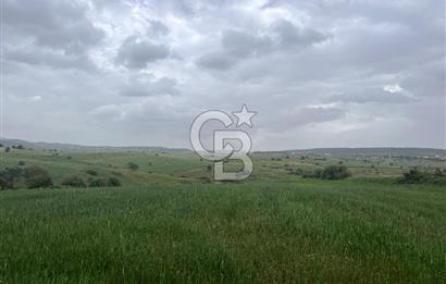 BALIKESİR KARESİ KALAYCILAR'DA SATILIK TARLA..! 11.609 m2