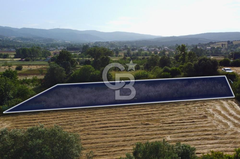 Çanakkale Lapseki Dışbudak Köyü 983 m² Yolu Olan Satılık Tarla