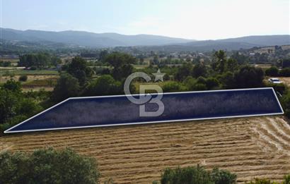 Çanakkale Lapseki Dışbudak Köyü 983 m² Yolu Olan Satılık Tarla