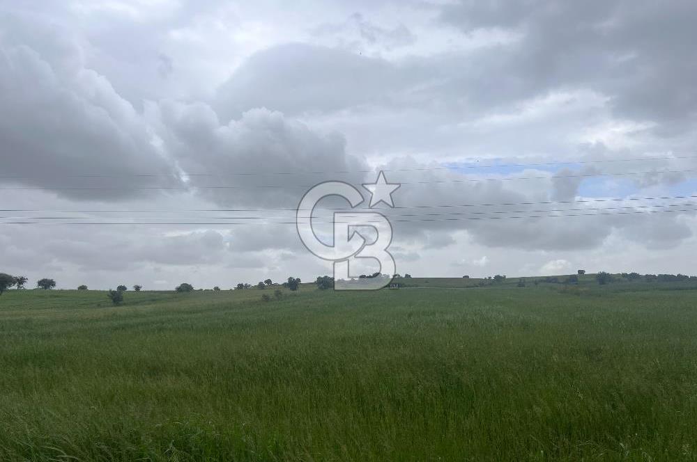 BALIKESİR KARESİ NAİPLİ'DE YOLA CEPHE, EMSALSİZ TARLA! 21.330 m2