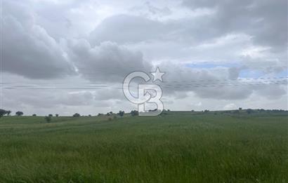BALIKESİR KARESİ NAİPLİ'DE YOLA CEPHE, EMSALSİZ TARLA! 21.330 m2
