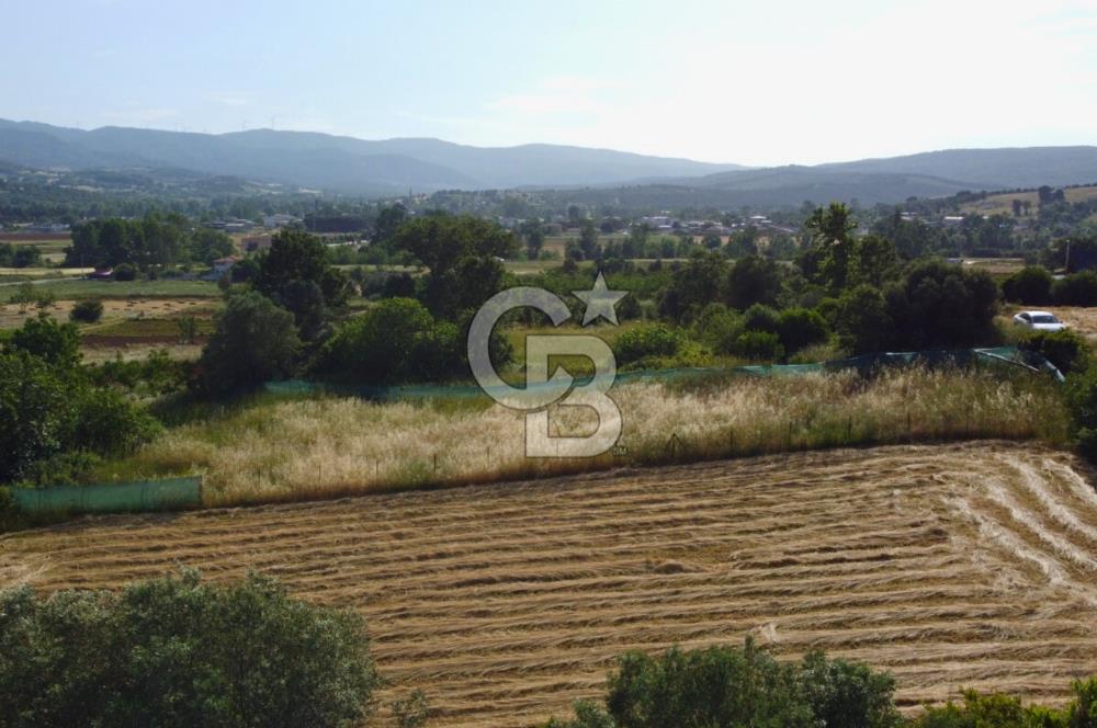 Çanakkale Lapseki Dışbudak Köyü 983 m² Yolu Olan Satılık Tarla