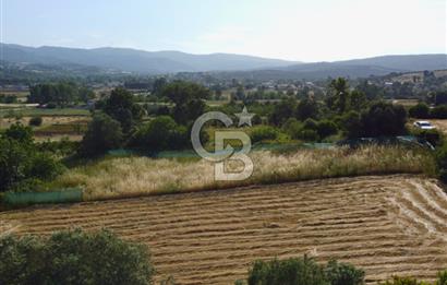 Çanakkale Lapseki Dışbudak Köyü 983 m² Yolu Olan Satılık Tarla