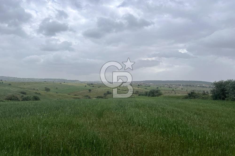 BALIKESİR KARESİ KALAYCILAR'DA SATILIK TARLA..! 11.609 m2