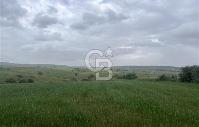 BALIKESİR KARESİ KALAYCILAR'DA SATILIK TARLA..! 11.609 m2