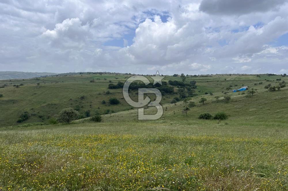 BALIKESİR KARESİ KÖTEYLİ'DE SATILIK TARLA...! 14.901 m2
