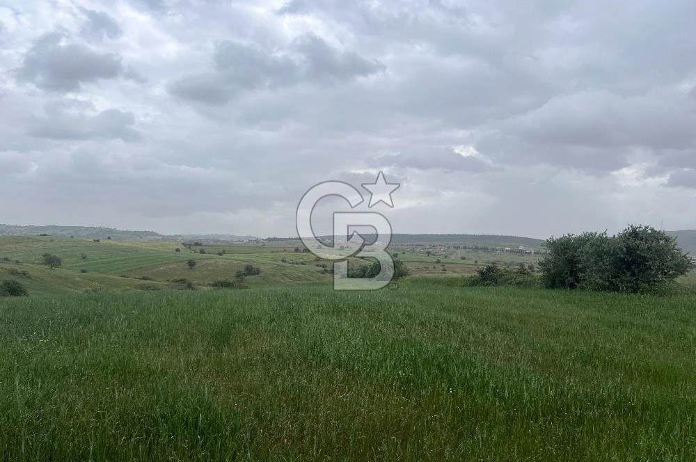 BALIKESİR KARESİ KALAYCILAR'DA SATILIK TARLA..! 11.609 m2