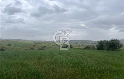 BALIKESİR KARESİ KALAYCILAR'DA SATILIK TARLA..! 11.609 m2