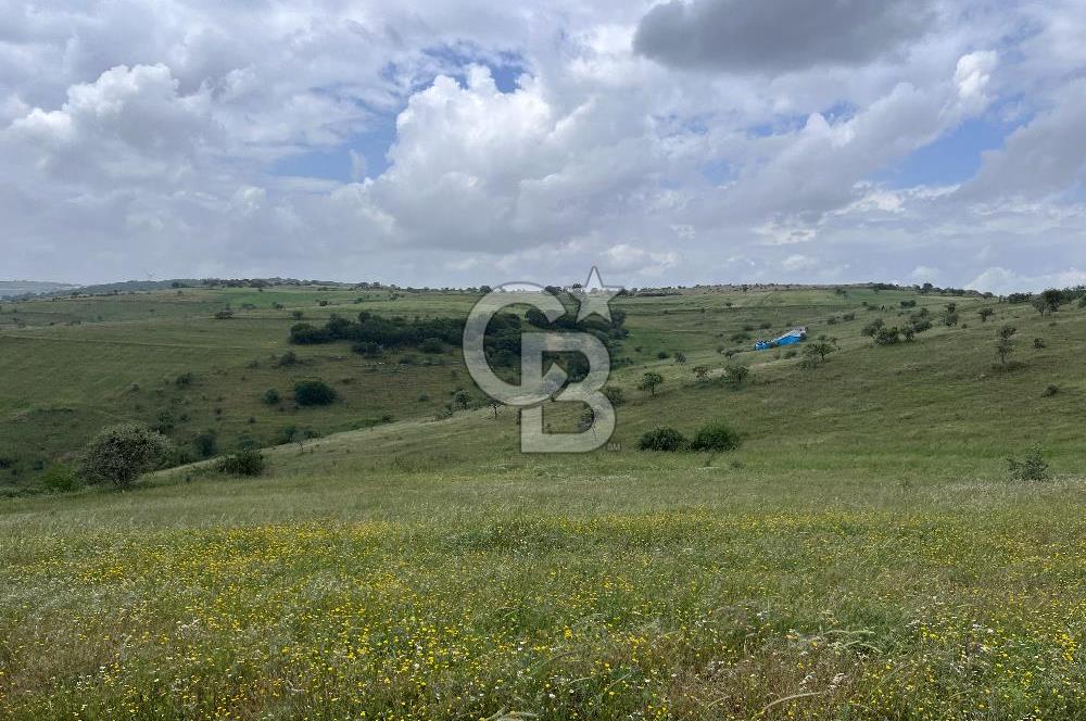 BALIKESİR KARESİ KÖTEYLİ'DE SATILIK TARLA...! 14.901 m2