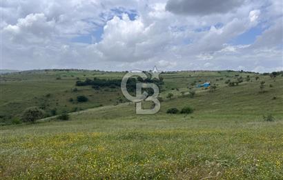 BALIKESİR KARESİ KÖTEYLİ'DE SATILIK TARLA...! 14.901 m2