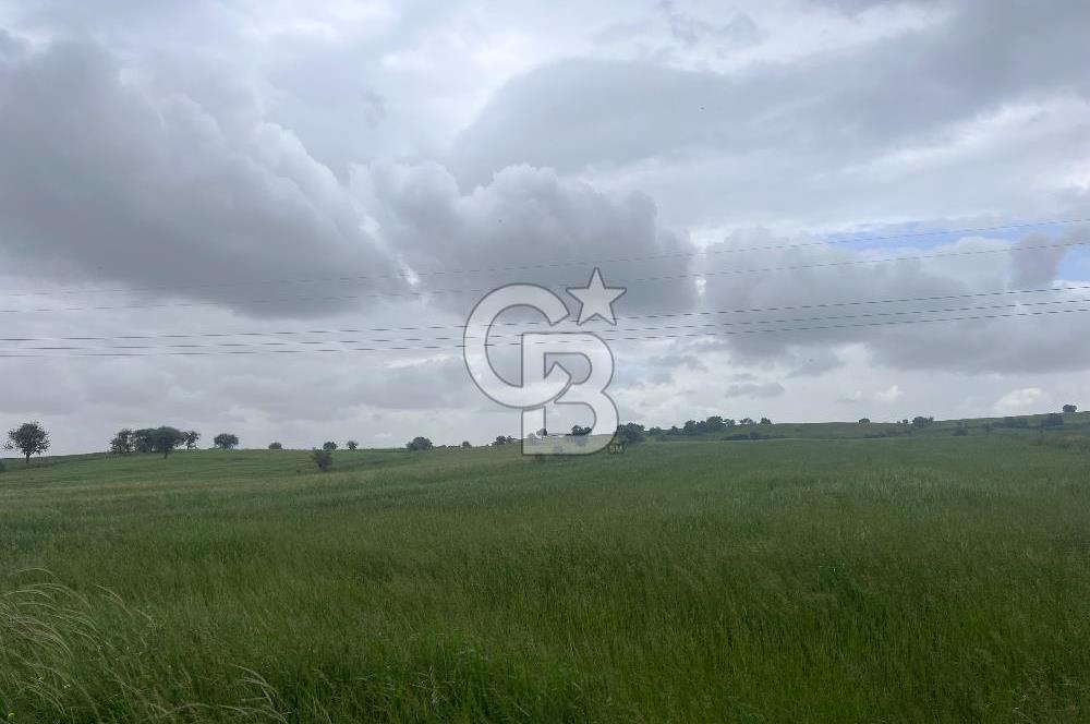 BALIKESİR KARESİ NAİPLİ'DE YOLA CEPHE, EMSALSİZ TARLA! 21.330 m2