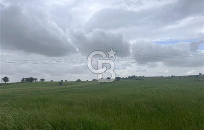 BALIKESİR KARESİ NAİPLİ'DE YOLA CEPHE, EMSALSİZ TARLA! 21.330 m2
