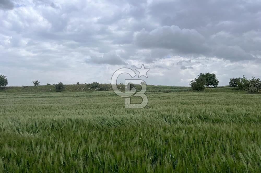 BALIKESİR KARESİ KÖTEYLİ'DE SATILIK TARLA..! 6.344 m2
