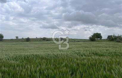 BALIKESİR KARESİ KÖTEYLİ'DE SATILIK TARLA..! 6.344 m2