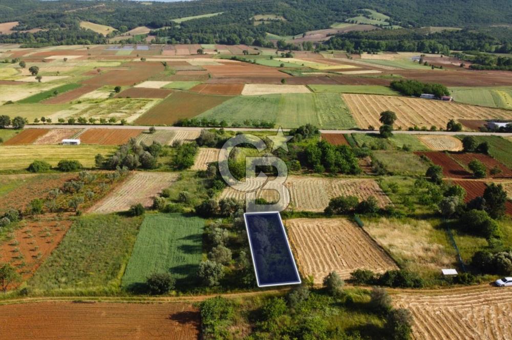 Çanakkale Lapseki Dışbudak Köyü 524 m² Yolu Olan Satılık Tarla