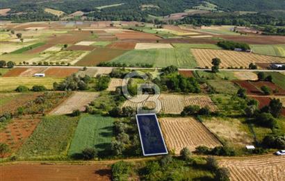 Çanakkale Lapseki Dışbudak Köyü 524 m² Yolu Olan Satılık Tarla