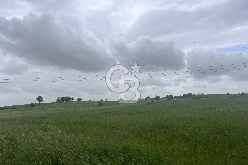 BALIKESİR KARESİ NAİPLİ'DE YOLA CEPHE, EMSALSİZ TARLA! 21.330 m2