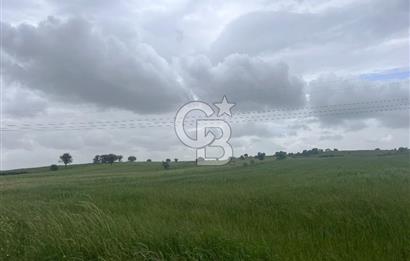 BALIKESİR KARESİ NAİPLİ'DE YOLA CEPHE, EMSALSİZ TARLA! 21.330 m2