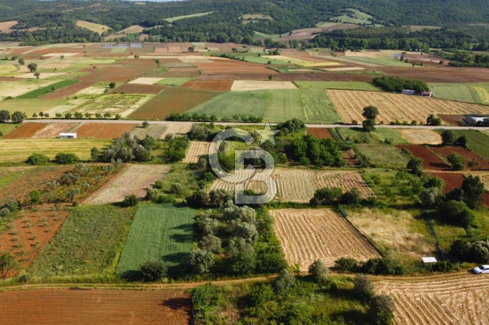 Çanakkale Lapseki Dışbudak Köyü 524 m² Yolu Olan Satılık Tarla