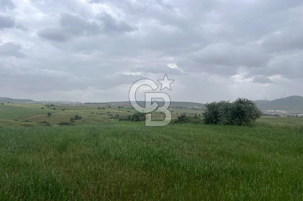 BALIKESİR KARESİ KALAYCILAR'DA SATILIK TARLA..! 11.609 m2