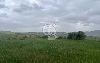 BALIKESİR KARESİ KALAYCILAR'DA SATILIK TARLA..! 11.609 m2