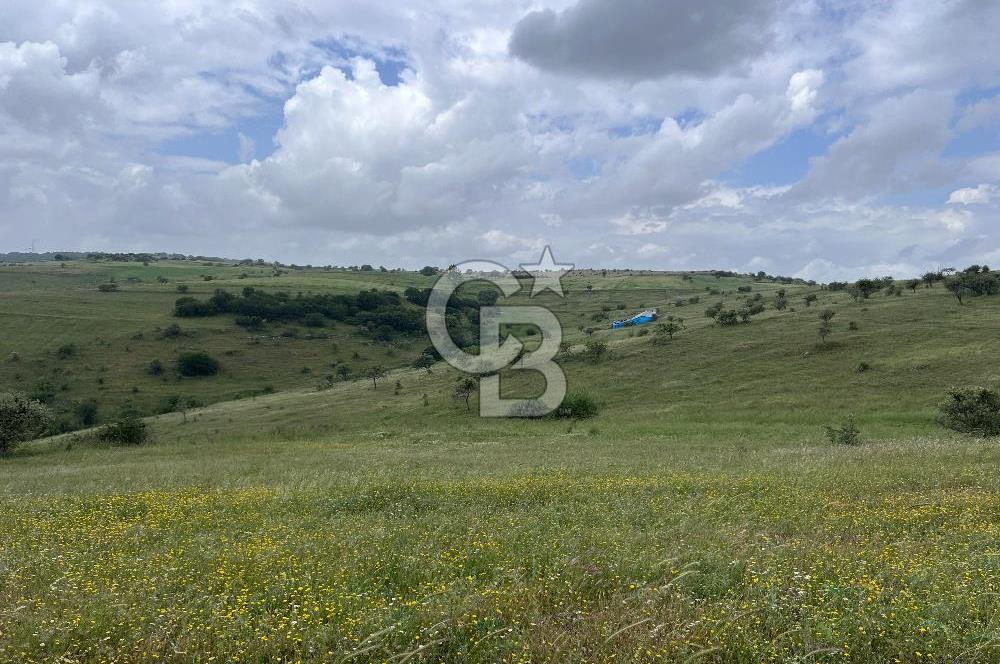 BALIKESİR KARESİ KÖTEYLİ'DE SATILIK TARLA...! 14.901 m2