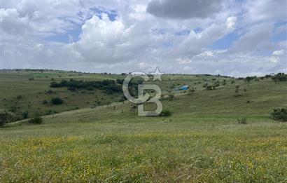 BALIKESİR KARESİ KÖTEYLİ'DE SATILIK TARLA...! 14.901 m2