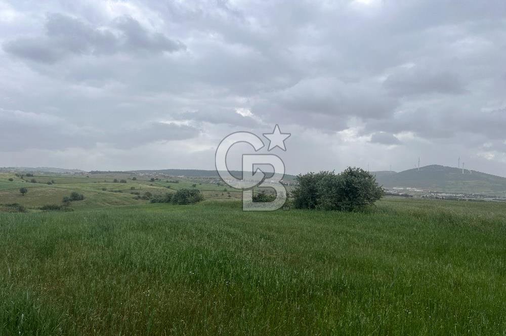 BALIKESİR KARESİ KALAYCILAR'DA SATILIK TARLA..! 11.609 m2
