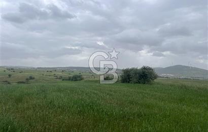 BALIKESİR KARESİ KALAYCILAR'DA SATILIK TARLA..! 11.609 m2