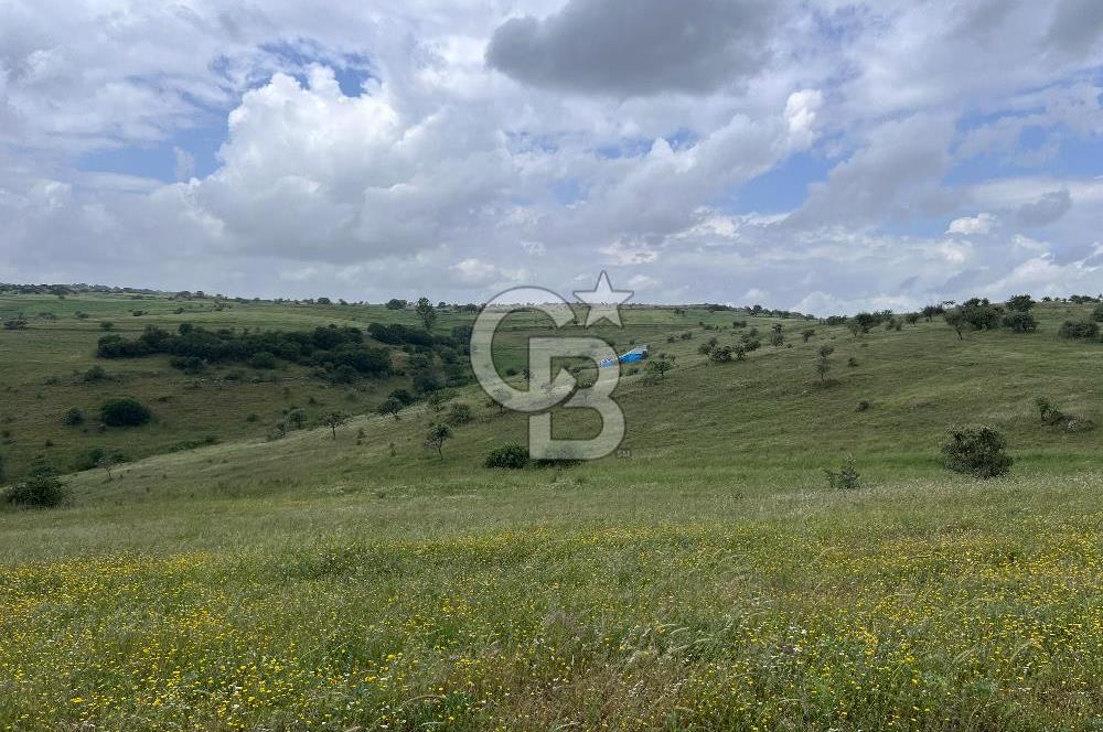BALIKESİR KARESİ KÖTEYLİ'DE SATILIK TARLA...! 14.901 m2