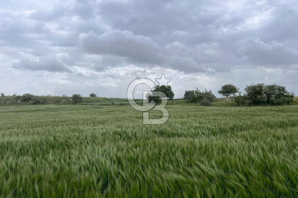 BALIKESİR KARESİ KÖTEYLİ'DE SATILIK TARLA..! 6.344 m2
