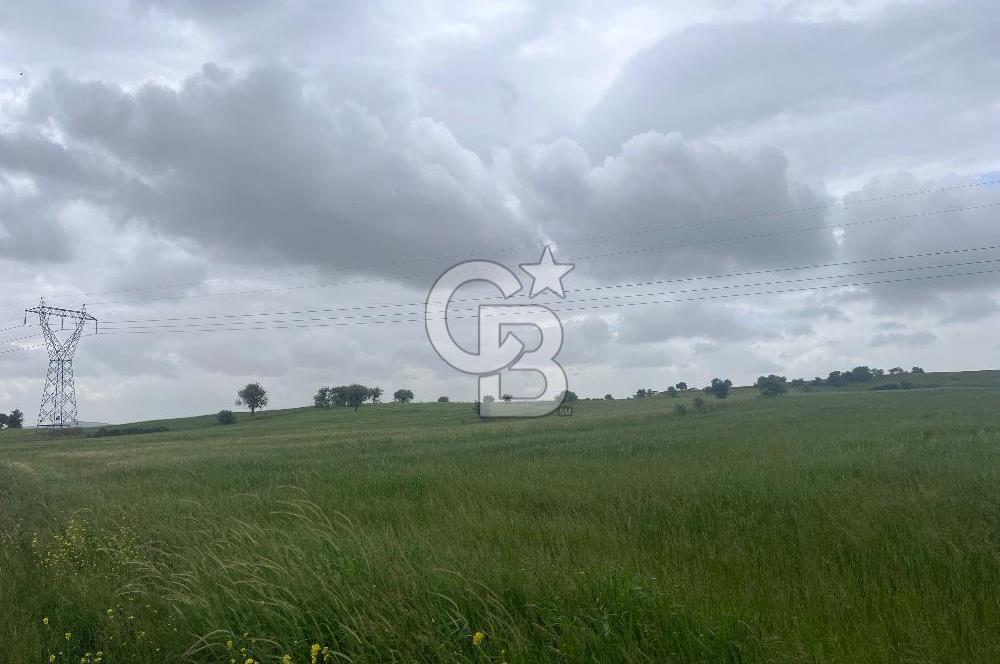 BALIKESİR KARESİ NAİPLİ'DE YOLA CEPHE, EMSALSİZ TARLA! 21.330 m2