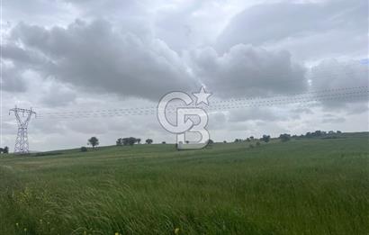 BALIKESİR KARESİ NAİPLİ'DE YOLA CEPHE, EMSALSİZ TARLA! 21.330 m2