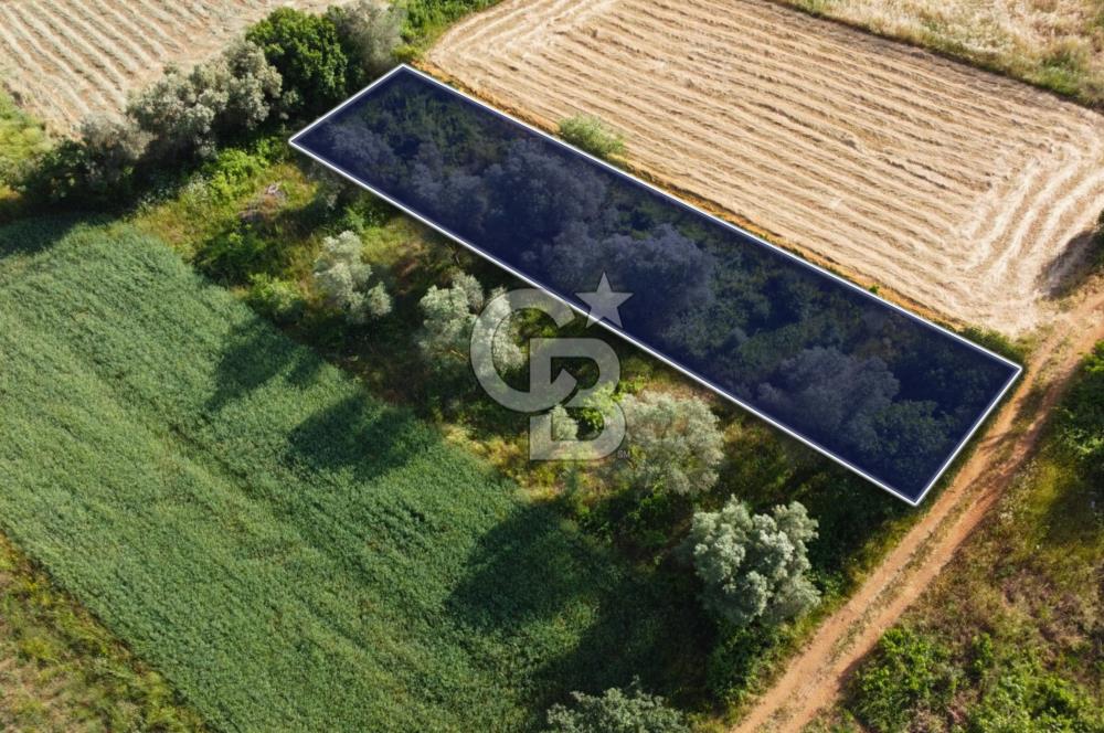 Çanakkale Lapseki Dışbudak Köyü 524 m² Yolu Olan Satılık Tarla