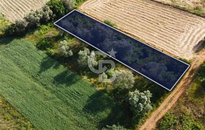 Çanakkale Lapseki Dışbudak Köyü 524 m² Yolu Olan Satılık Tarla