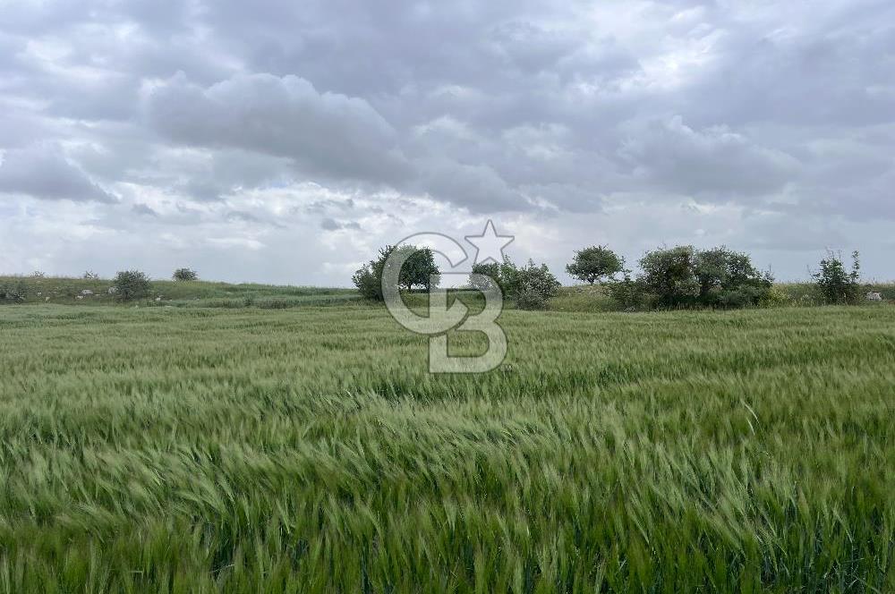BALIKESİR KARESİ KÖTEYLİ'DE SATILIK TARLA..! 6.344 m2