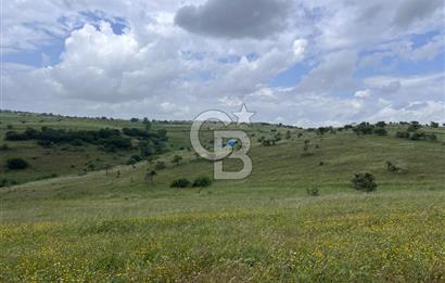 BALIKESİR KARESİ KÖTEYLİ'DE SATILIK TARLA...! 14.901 m2