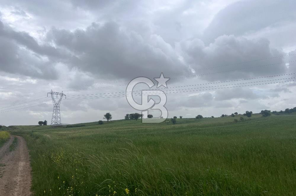 BALIKESİR KARESİ NAİPLİ'DE YOLA CEPHE, EMSALSİZ TARLA! 21.330 m2