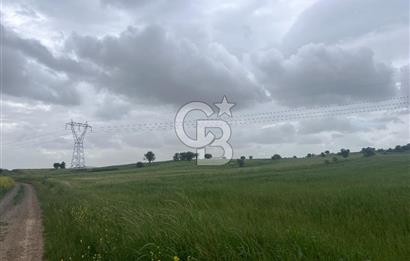 BALIKESİR KARESİ NAİPLİ'DE YOLA CEPHE, EMSALSİZ TARLA! 21.330 m2