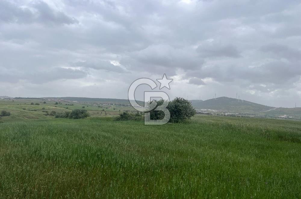 BALIKESİR KARESİ KALAYCILAR'DA SATILIK TARLA..! 11.609 m2