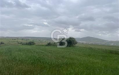 BALIKESİR KARESİ KALAYCILAR'DA SATILIK TARLA..! 11.609 m2