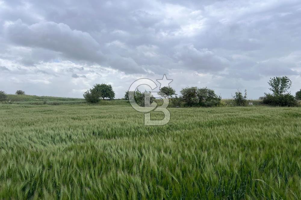 BALIKESİR KARESİ KÖTEYLİ'DE SATILIK TARLA..! 6.344 m2