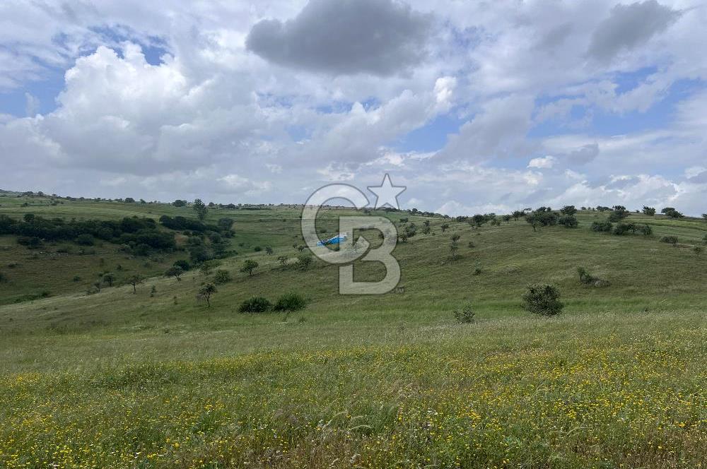 BALIKESİR KARESİ KÖTEYLİ'DE SATILIK TARLA...! 14.901 m2