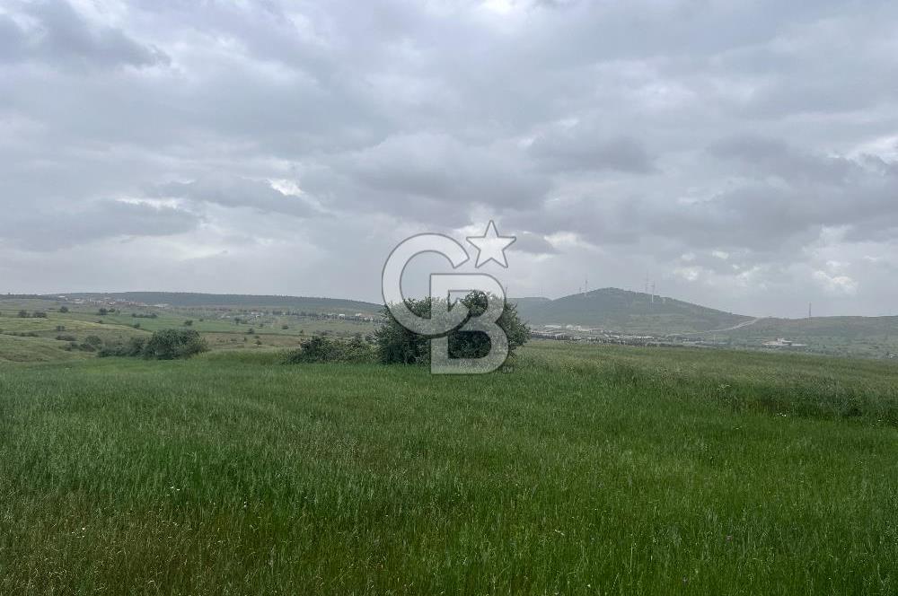 BALIKESİR KARESİ KALAYCILAR'DA SATILIK TARLA..! 11.609 m2