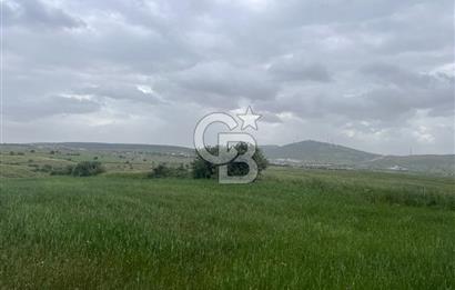 BALIKESİR KARESİ KALAYCILAR'DA SATILIK TARLA..! 11.609 m2