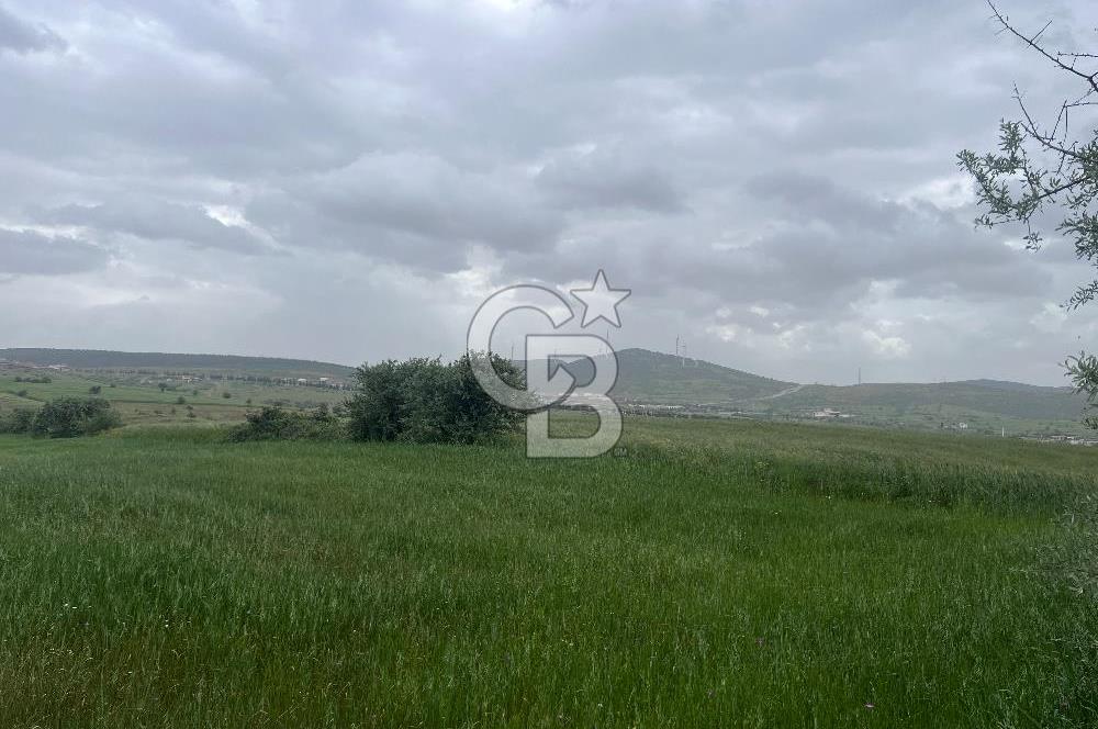BALIKESİR KARESİ KALAYCILAR'DA SATILIK TARLA..! 11.609 m2